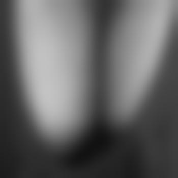 pussy001