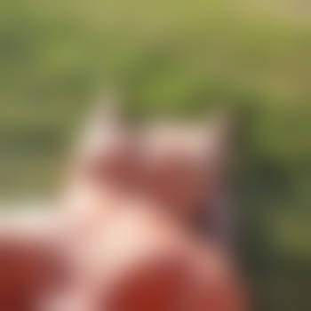 Sklave_m72