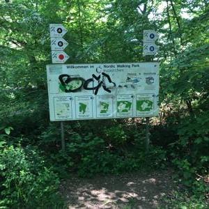 Parkplatz Billiger Wald für Paare und Frauen