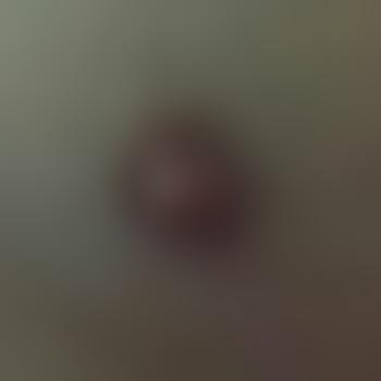 Popo123