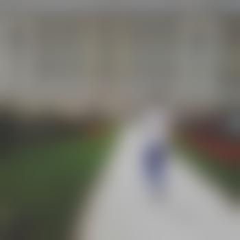 Roma304