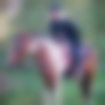 bad-lauterberg434246