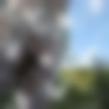 DerStefan-