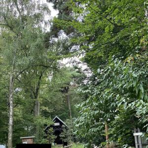 Parkplatz und Hütte Drei Eichen