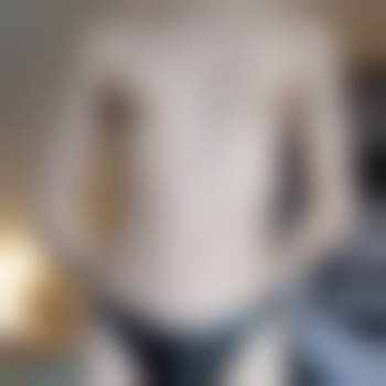 Gayslut1111
