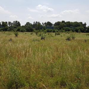 Autobahnbrücke Eixe