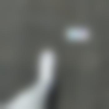 bluewale1