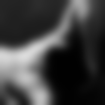 Leo-9079