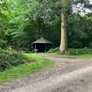 Schutzhütte - Försterei