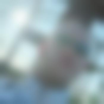 hackschnippie
