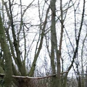 Parkplatz  : Haan-West,A46 Richtung Düsseldorf