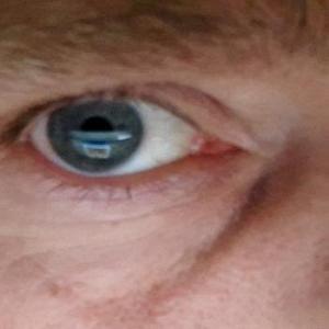 Sven42suche