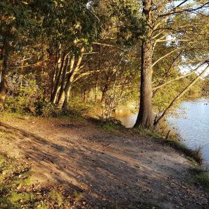 Cloppenburg - Frivol unterwegs