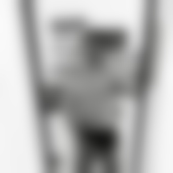 bisexuellcgn96