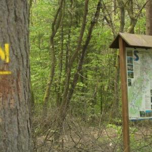 Undeloh - FKK Naturisten Wanderweg