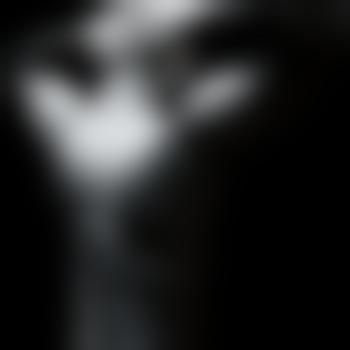 ersucht8878