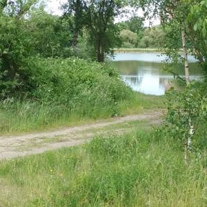 Stralsund-Bahnhofstraße Parkplatz