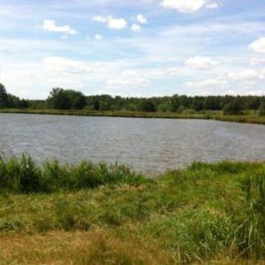 Murner See