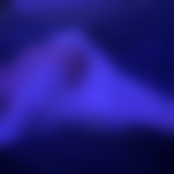 Dxxvkk