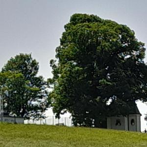 Sex und Kontakte Raum südliches München