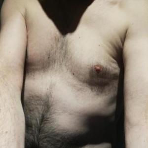 Hotbernie