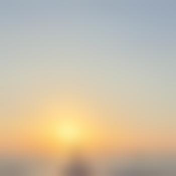 SingleBi-Heidelberg