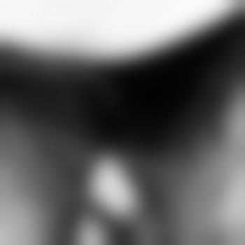 Anonymus37