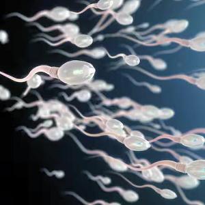 AO Berlin & Brandenburg Fick-Treff