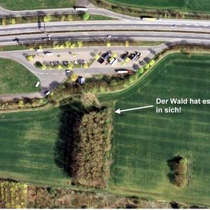 A42 Parkplatz Holthauser Bruch