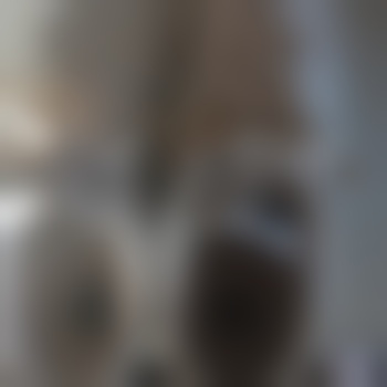 SneaksSox