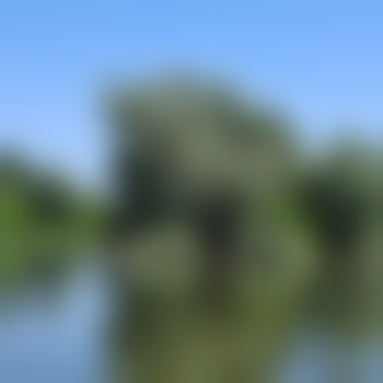 einfachso24