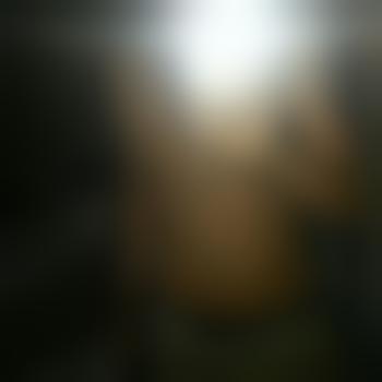 alsdf6