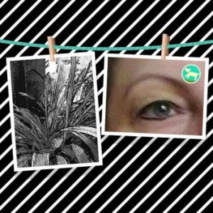 Rubenslady6626