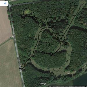 OSEE  Rund um die Uhr !!