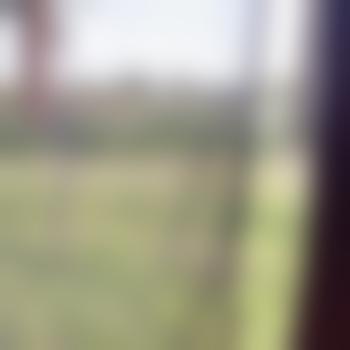 Coelulo