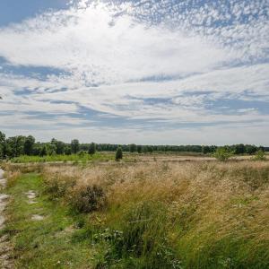 Grenzverkehr/Grensverkeer