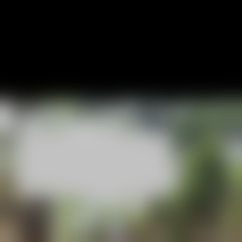 Vidalgio