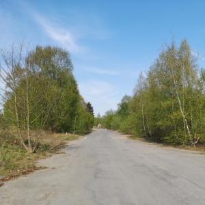 Camp Hitfeld