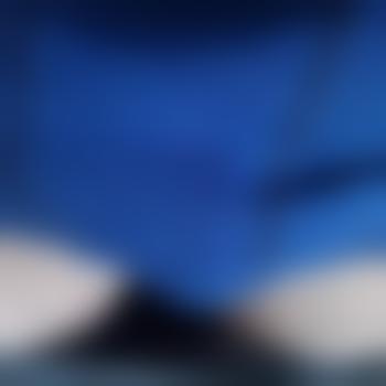 Teddyhelli2011