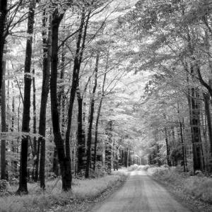 A28 Abfahrt  Hude/ Kleiner Parkplatz Hasbruch Wald