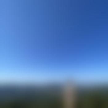 pheromon89