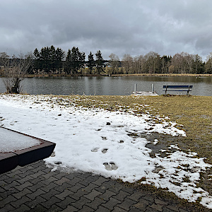 Wolfsteich Mönchweiler