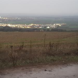 Sangerhausen Pfeifersheim
