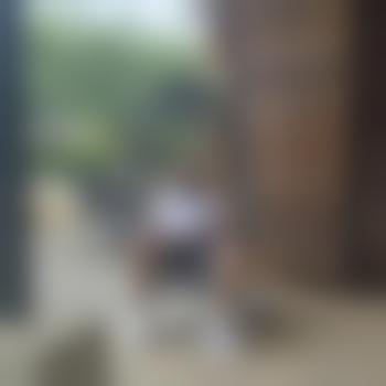Baba225