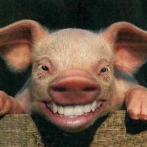 Ò.ó Chaos Brigade ò.Ó