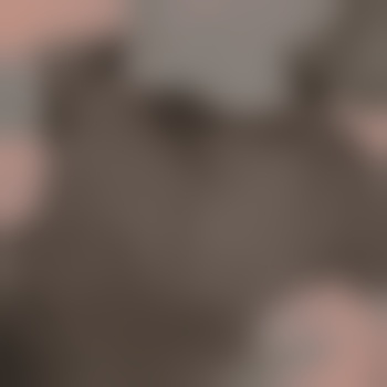 softtouch_22