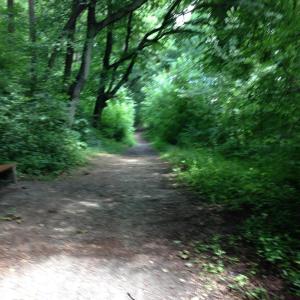 Inn_Weg Mühldorf-Töging