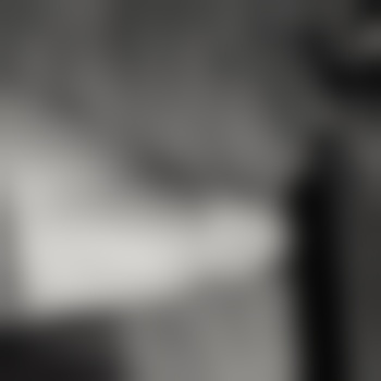 fickER_1989