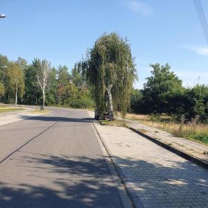 Angelegenheit in Neuendorf  nähe Lübben