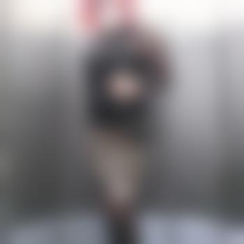 SindyDWTdev